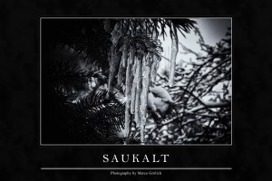 Saukalt